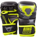 Ringhorns Charger MMA Sparring