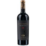 Casa Charlize Abbastanza Primitivo 18 polosuché červené 2024 18% 0,75 l (holá láhev) – Hledejceny.cz