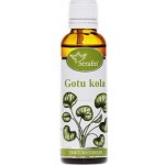 Serafin Gotukola tinktura z bylin 50 ml – Hledejceny.cz