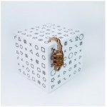 Escape Welt Secret Box – Hledejceny.cz