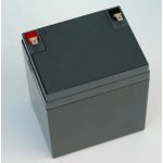 Alarmguard 12V 4,5Ah CJ12-4,5 – Zboží Živě