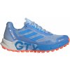 Dámské trekové boty adidas Terrex Agravic Flow 2 GTX W HR1147 modrý
