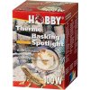 Žárovka do terárií Hobby Thermo Basking Spotlight 100 W