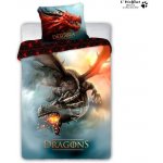 FARO povlečení Drak Red Bavlna 140x200 70x90 – Zboží Dáma
