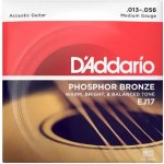 D'addario EJ17 – Sleviste.cz