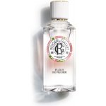 Roger & Gallet Fleur de Figuier osvěžující voda dámská 30 ml – Hledejceny.cz