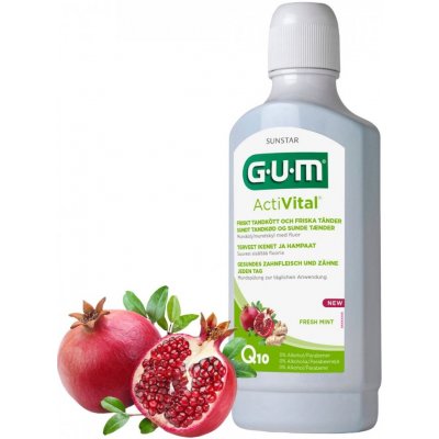 GUM ActiVital 500 ml – Zbozi.Blesk.cz