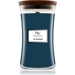 WoodWick Antiquarium 609,5 g – Hledejceny.cz