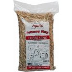 Apetit Johnny Hay hlodavec Luční seno 0,8 kg – Hledejceny.cz