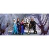 Tapety AG Design FTDNH-5386 Dětská vliesová fototapeta Disney Ledové království 2 rozměr 202 x 90 cm