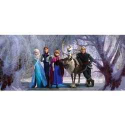 AG Design FTDNH-5386 Dětská vliesová fototapeta Disney Ledové království 2 rozměr 202 x 90 cm