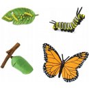 Živá vzdělávací sada Safari Ltd. Životní cyklus Motýl
