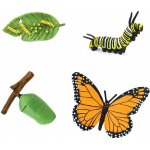 Safari Ltd. Životní cyklus Motýl – Zboží Dáma