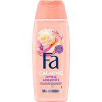 Fa Divine Moments sprchový gel 250 ml – Zboží Dáma