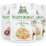 Brit Care Cat Fillets in Jelly Wholesome Tuna 85 g – Sleviste.cz