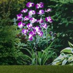 Haushalt international Solární zápich Orchidej 838923 – Sleviste.cz