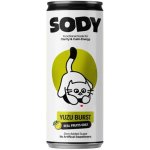 SODY Funkční soda Yuzu Burst 330 ml – Hledejceny.cz