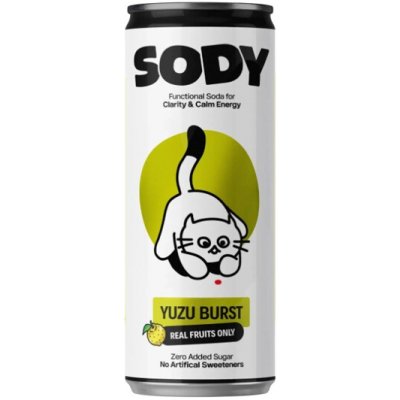 SODY Funkční soda Yuzu Burst 330 ml – Hledejceny.cz