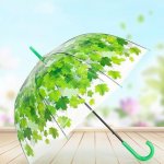 Průhledný deštník - zelené listy – Zboží Dáma