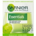 Garnier Essentials Intense 24h hydratační denní krém normální a smíšená 50 ml – Hledejceny.cz