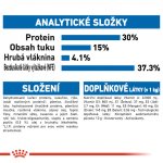 Royal Canin Indoor Long Hair 4 kg – Zbozi.Blesk.cz