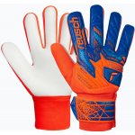 REUSCH brankářské rukavice Attrakt Starter Solid Junior (5,5) – Sleviste.cz