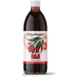 EkoMedica SK Goji šťáva 500 ml – Hledejceny.cz