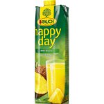 Rauch Happy Day ananas 100% 1l – Zboží Mobilmania