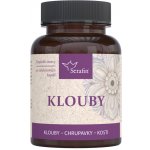 Serafin Klouby 90 kapslí – Hledejceny.cz