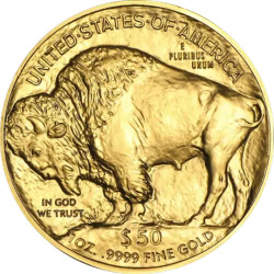 U.S. Mint zlatá mince American Buffalo 2024 1 oz