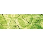 Dimex KI180-048 Samolepící fototapeta do kuchyně Leaf Veins rozměry 180 x 60 cm – Zbozi.Blesk.cz