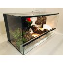 Tropical terarium Terazoo 80 x 40 x 40 cm