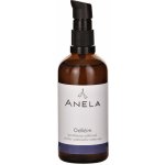 Anela Odlíčím dvoufázový odličovač očního i pleťového make-upu 100 ml – Hledejceny.cz