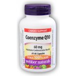 Dr.Max Coenzyme Q10 60 mg 60 kapslí – Hledejceny.cz