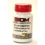 Giom Chondro L-karnitin Forte 60 tbl – Hledejceny.cz