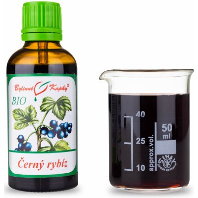 Bylinné kapky Černý rybíz plod BIO tinktura 50 ml – Hledejceny.cz