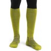 Icebreaker M Ski+ Ultralight OTC BIO LIME/LODEN/LAZURITE