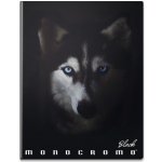 Pigna Školní sešit Monocromo Black A5 linkovaný – Sleviste.cz