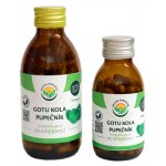 Salvia Paradise Gotu kola pupečník 60 kapslí – Zbozi.Blesk.cz