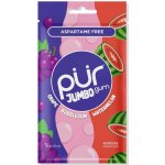 PÜR Jumbo Bubblegum-Melounovo-Hroznová 20 ks – Zboží Dáma