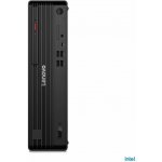 Lenovo ThinkCentre M70s 12YK000UCK – Hledejceny.cz