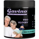 Gavino Aktiv pro klouby 700 g