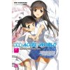 Komiks a manga Accel World, Vol. 18 (light novel)