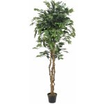 Umělý strom Fíkus Benjamin, 180cm – Zboží Dáma