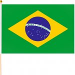 Brazílie vlajka 45x30cm – Hledejceny.cz