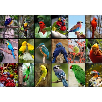 GRAFIKA Nejkrásnější ptáci světa 1500 dílků – Zboží Mobilmania