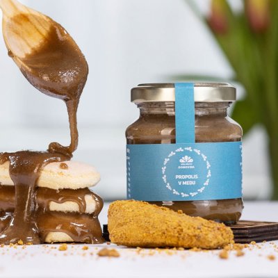 Včelařství Domovina Propolis v medu 180 g – Sleviste.cz