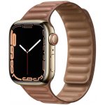 Apple Watch Series 7 45mm – Zbozi.Blesk.cz