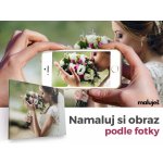 MALUJEŠ Malování podle čísel - OBRAZ PODLE VLASTNÍ FOTOGRAFIE Rozměr: 40x60 cm, Rámování: vypnuté plátno na rám – Zboží Dáma