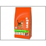 Iams for Vitality Cat Adult Lamb 10 kg – Zboží Mobilmania